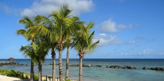 mauritius-2820633_1280.jpg